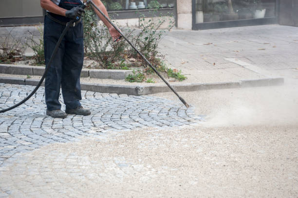 Animal Enclosure Cleaning in Chippewa Falls, WI